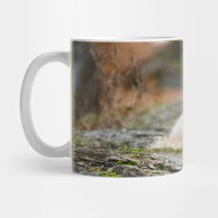 Arctic Wolf Mug